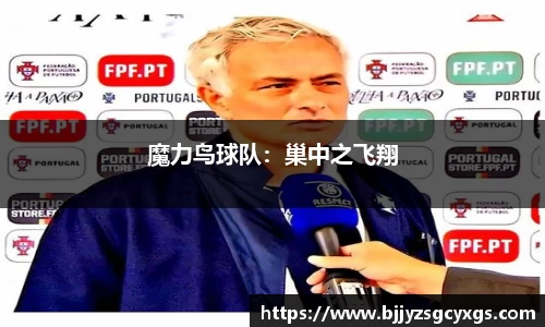 魔力鸟球队：巢中之飞翔